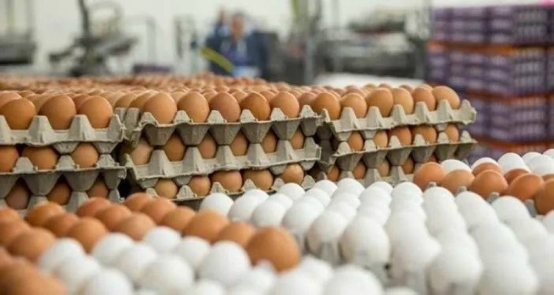 طبق البيض