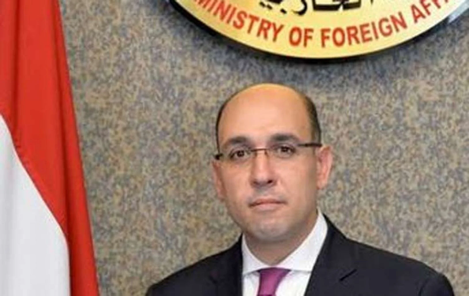 السفير أحمد حافظ، المتحدث الرسمي باسم وزارة الخارجية
