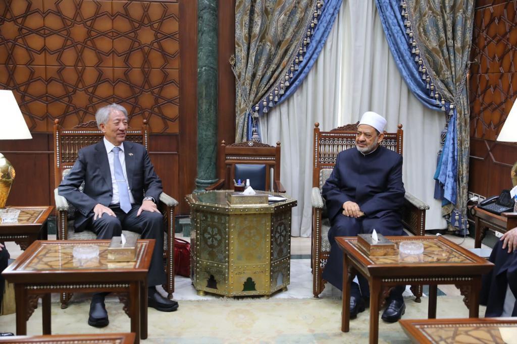أحمد الطيب وتيو تشي هين كبير
