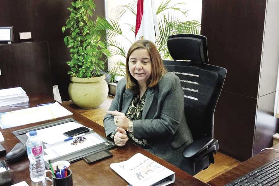المهندسة مي عبد الحميد