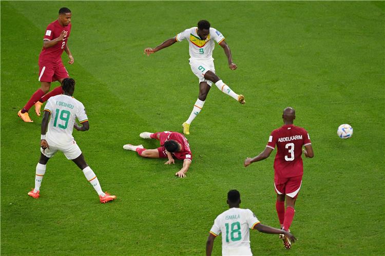 قطر والسنغال