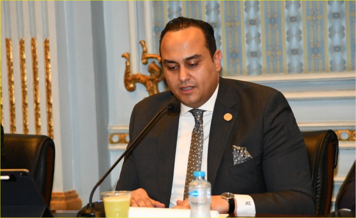 د. أحمد السبكى