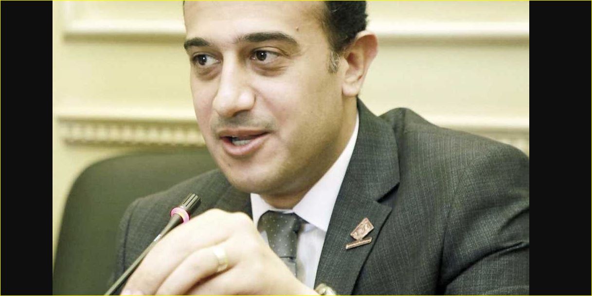 طارق الخولى عضو لجنة العفو الرئاسى