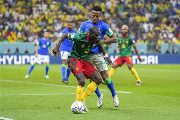 الكاميرون والبرازيل