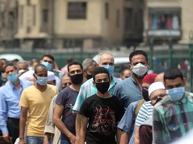 كورونا في مصر