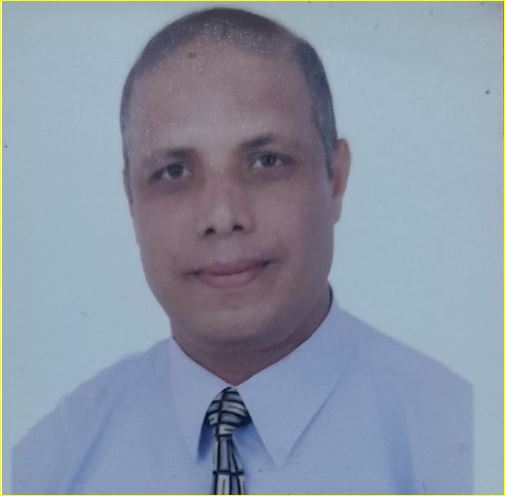 الأستاذ الدكتور جمال محمدين