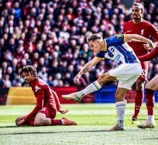 ليفربول وبرايتون