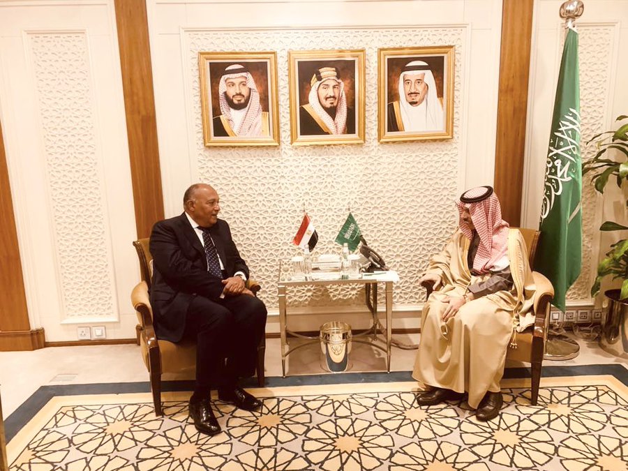 وزيرا خارجية مصر والسعودية