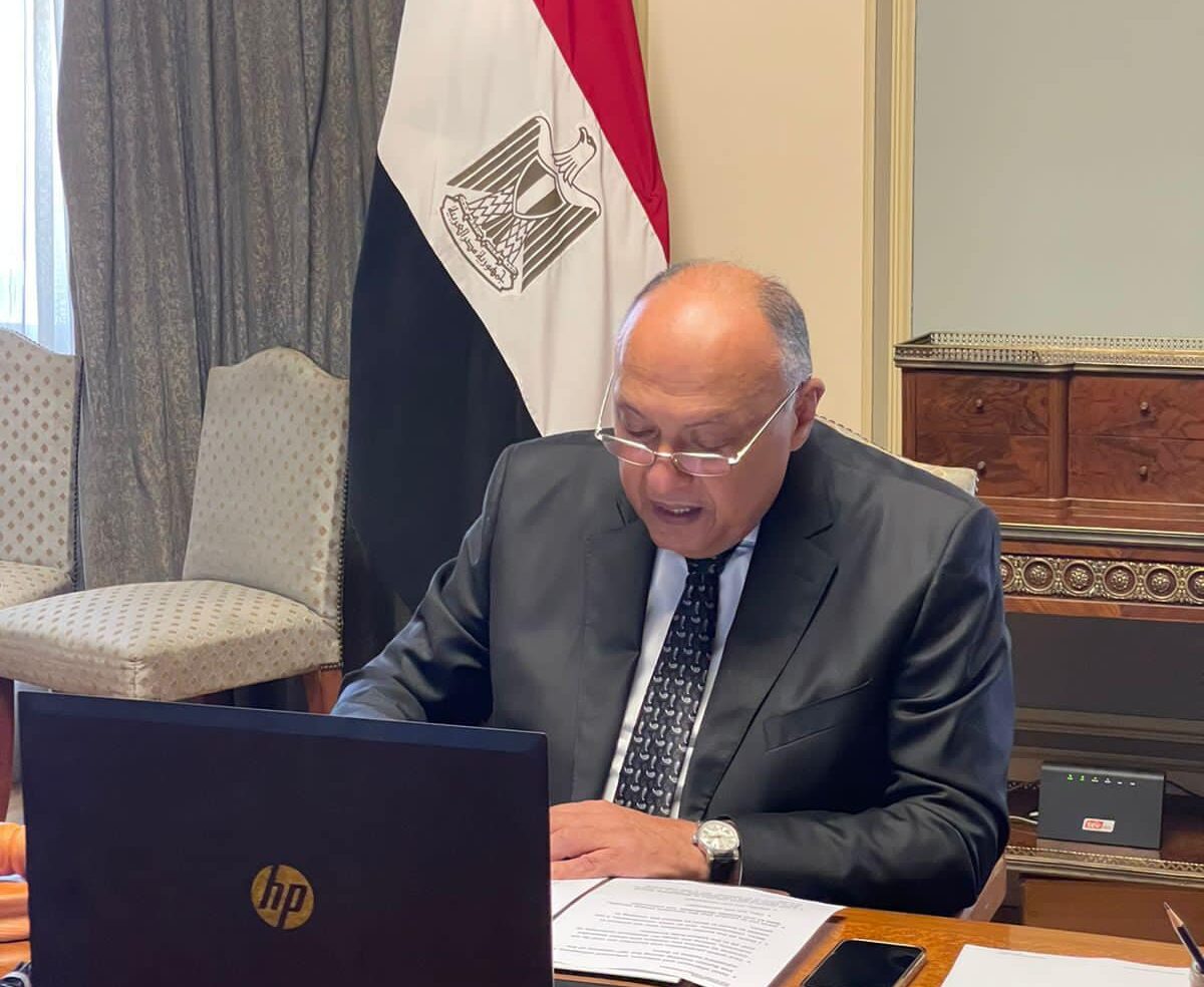 سامح شكري وزير الخارجية