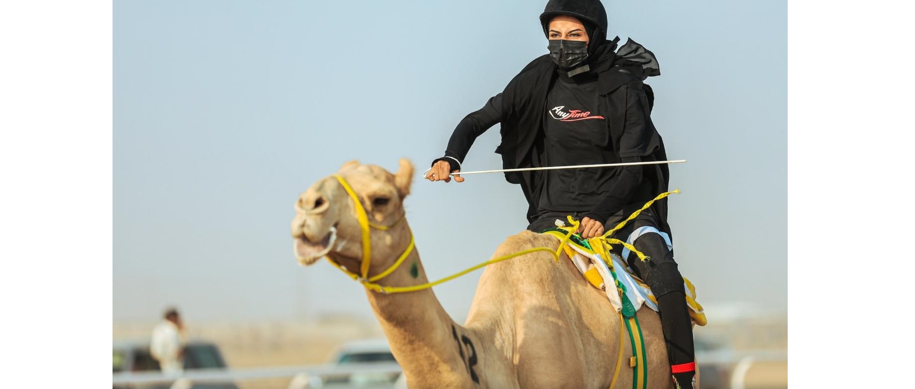 الهجانة الأميركية تايلور ديز