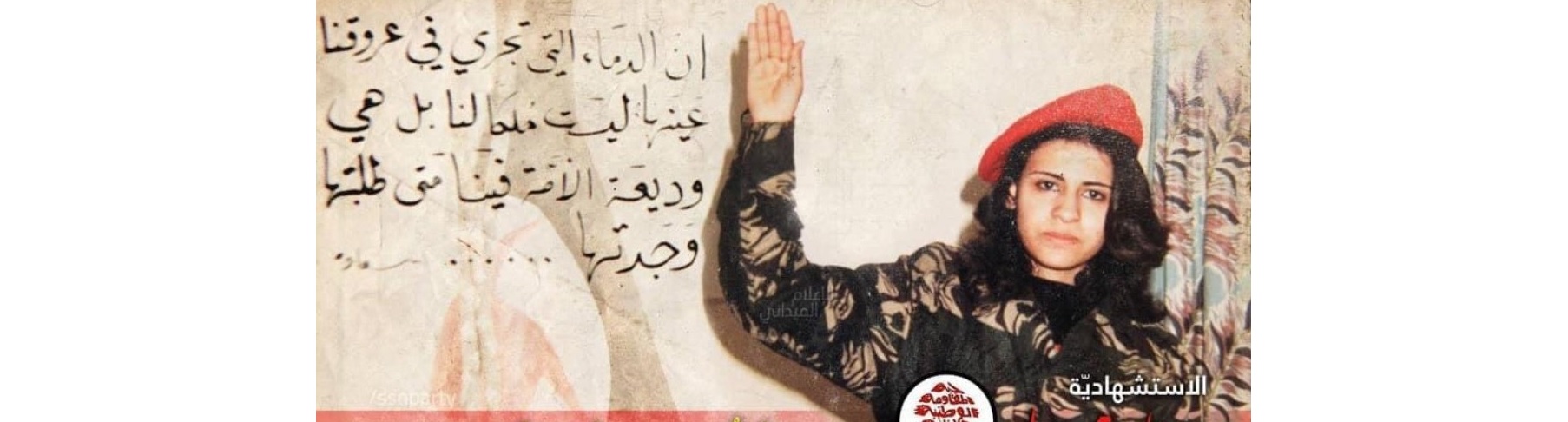 الشهيدة سناء محيدلى