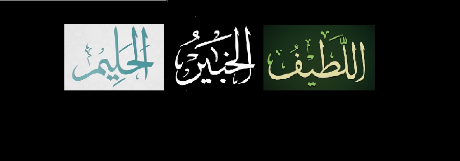 أسماء الله الحسنى اللطيف الخبير الحليم