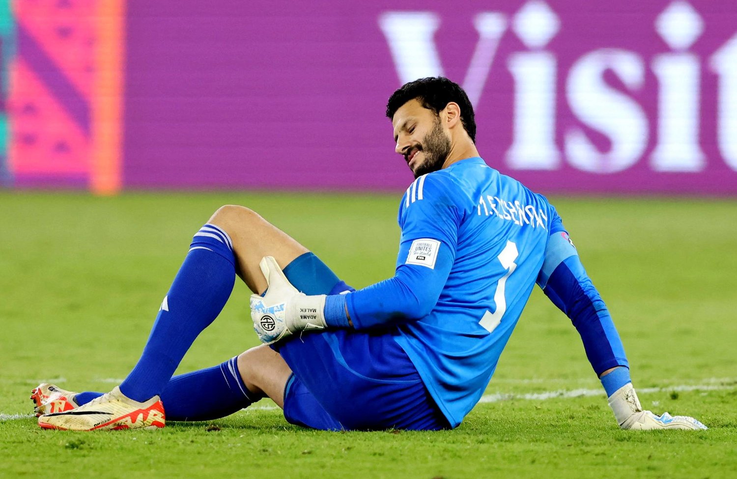 محمد الشناوي