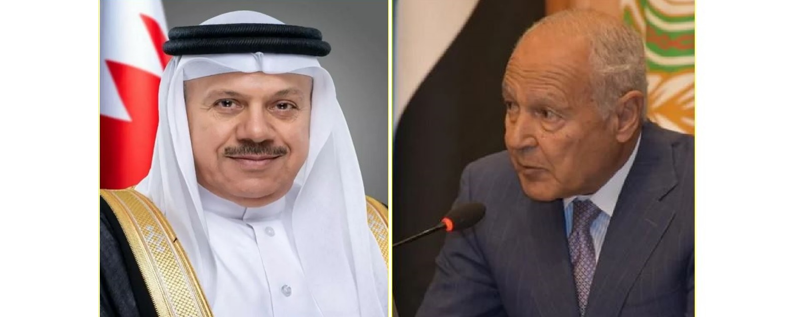 أبو الغيط والزيانى