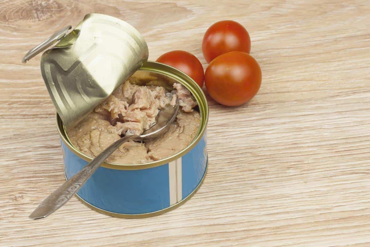 علب التونة