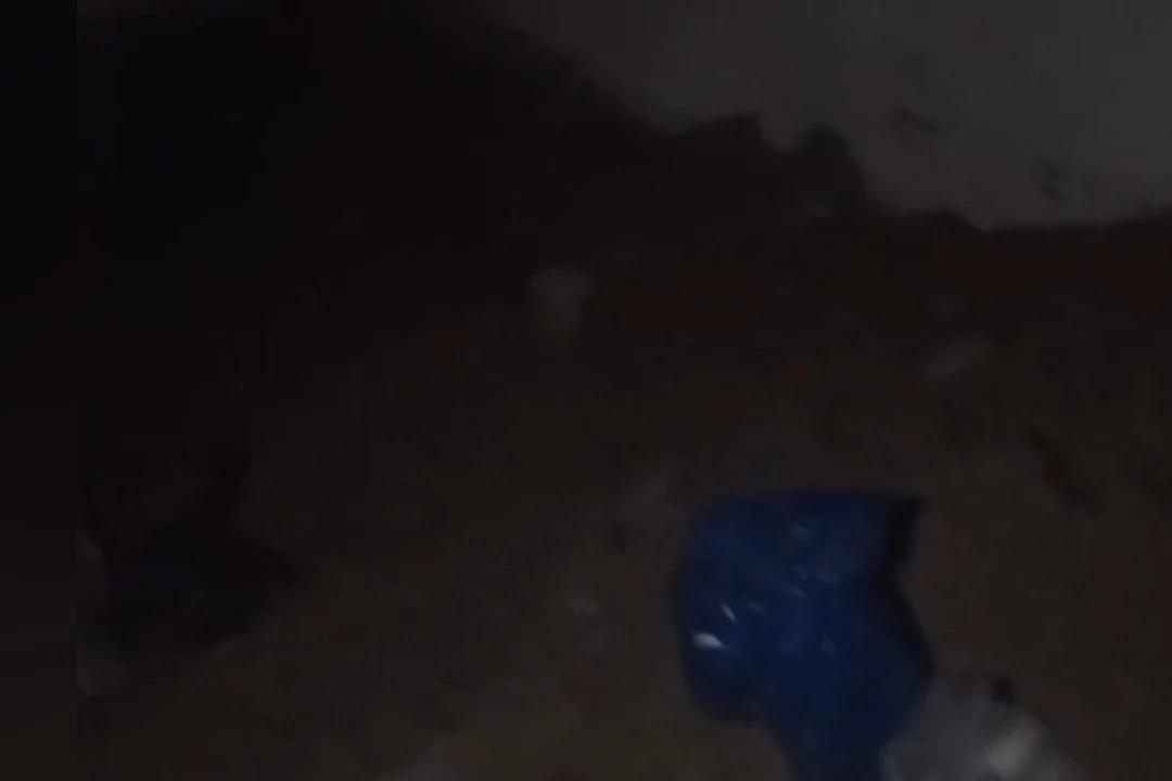 سفاح الإسكندرية