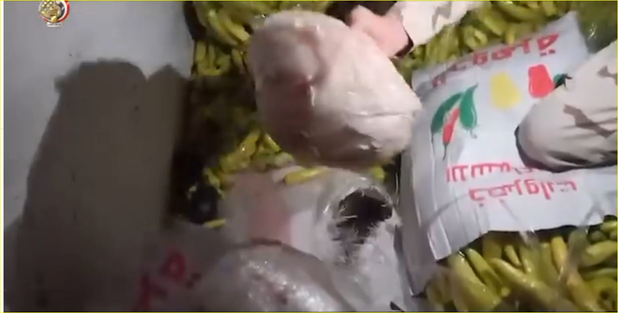 المخدرات المضبوطة