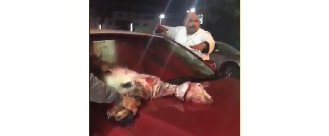 تلطيخ السيارة الجديدة بدم ذبيحة