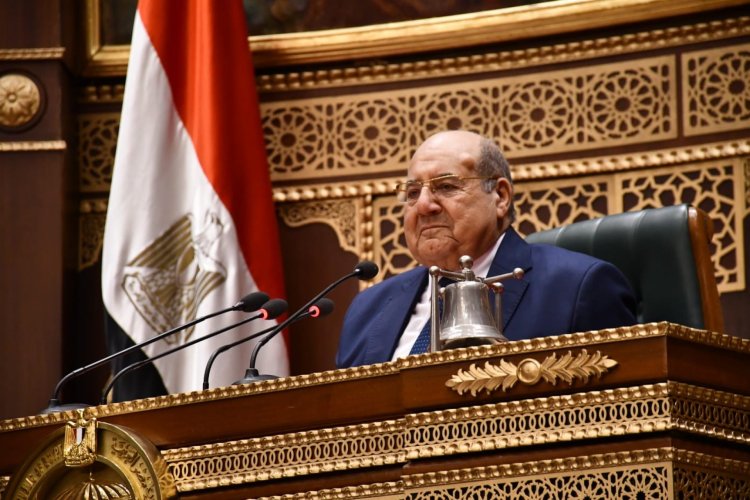 المستشار عبد الوهاب عبد الرازق، رئيس مجلس الشيوخ
