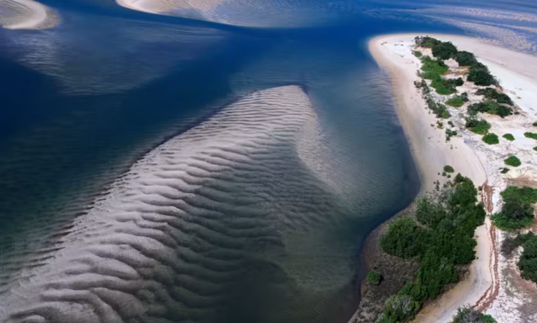 جزيزة تيواي بسيراليون