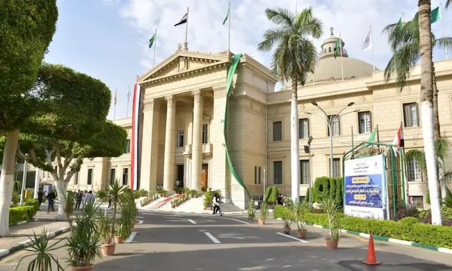 كلية طب قصر العيني
