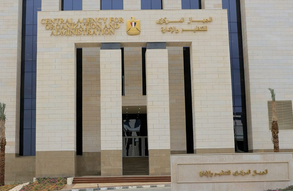التنظيم والادارة