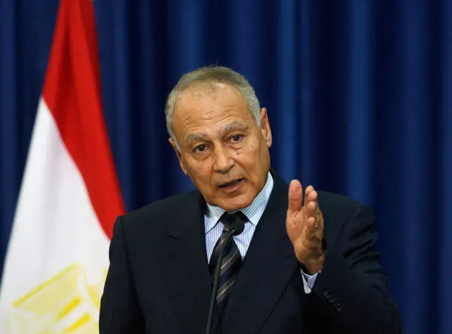 أحمد أبو الغيط