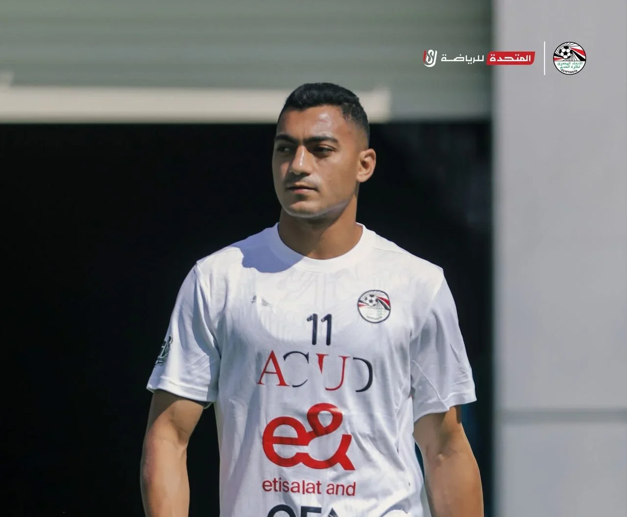 مصطفى محمد