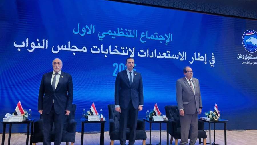 قيادات حزب مستقبل وطن