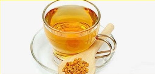 الحلبة
