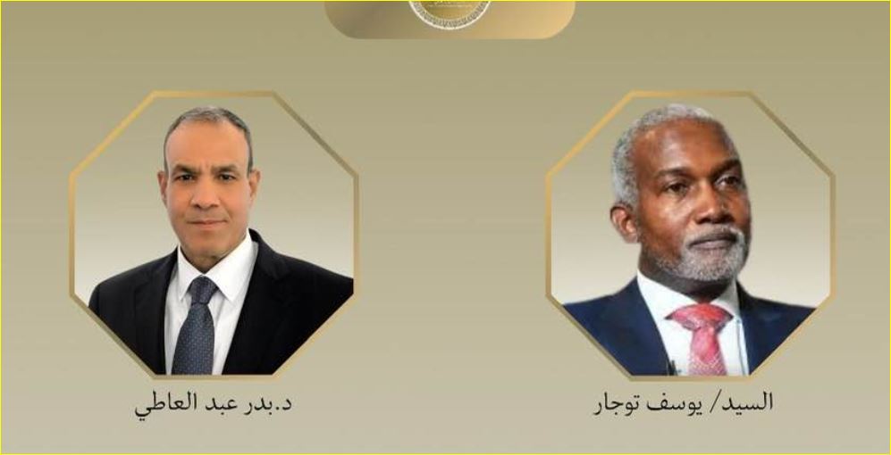 وزيرا خارجية مصر ونيجيريا