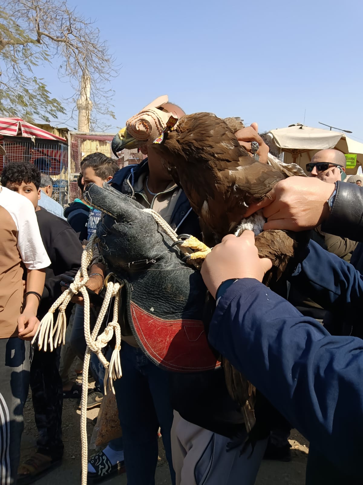 العقاب