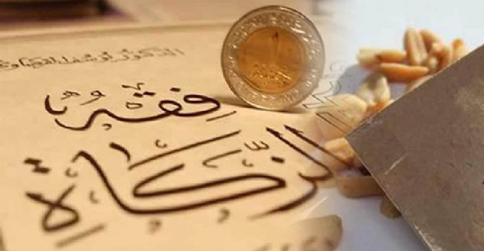فقه الزكاة