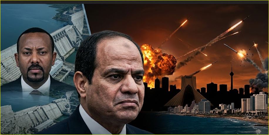 السيسى وتحدى الإرادات