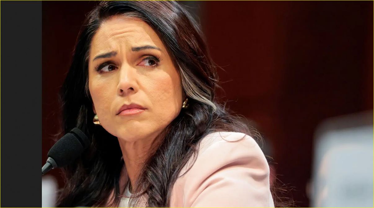 مديرة الاستخبارات الوطنية