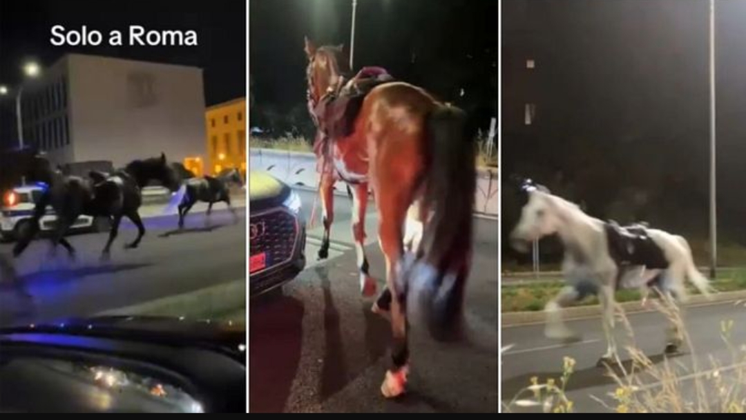 فوضى فى شوارع العاصمة الإيطالية روما