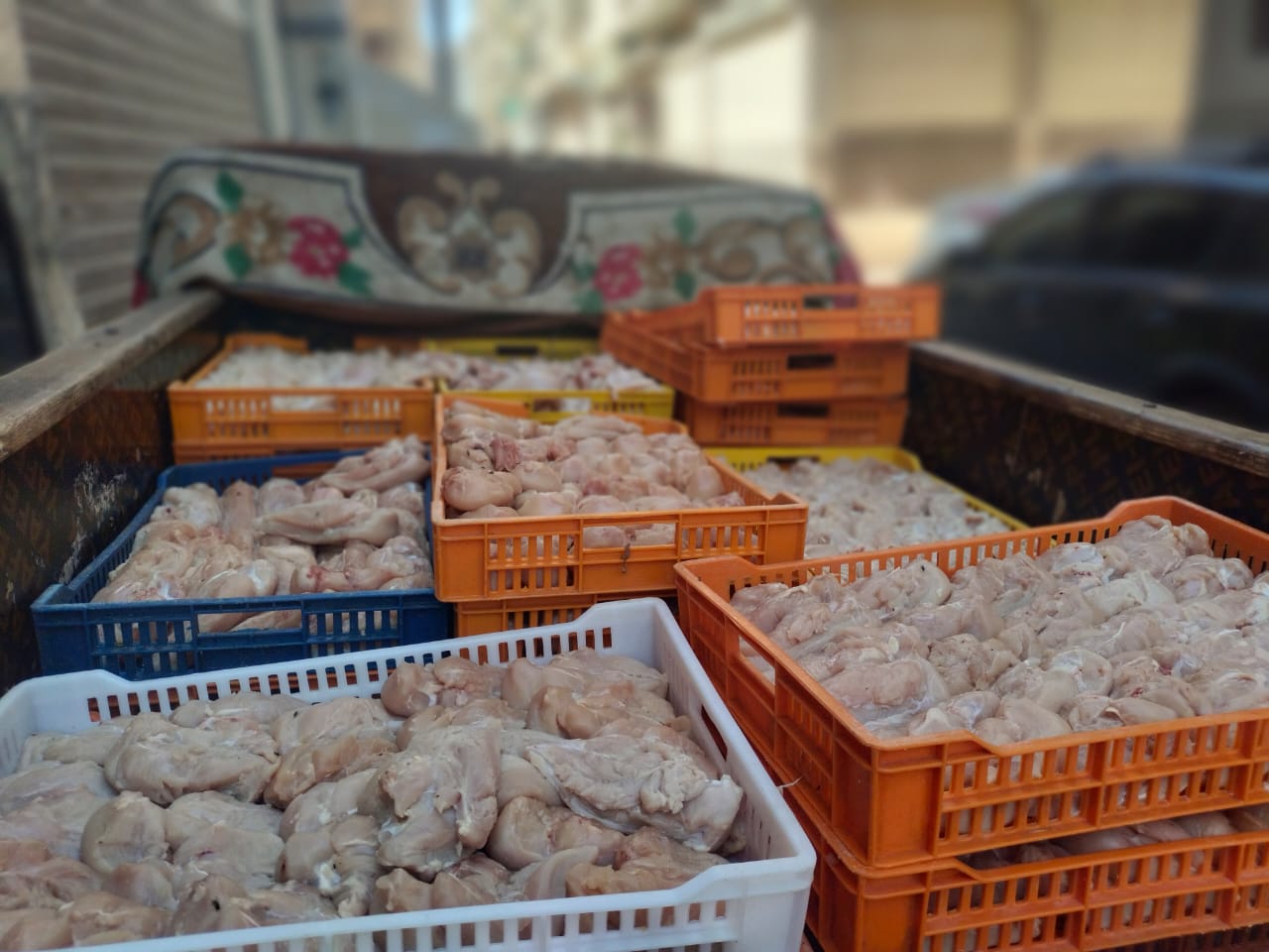 المضبوطات من الدواجن الفاسدة